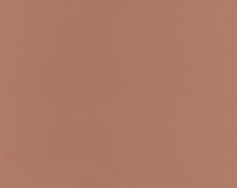 [200111122_84] Taralay Impression Compact - 1090 Uni Matt Brick